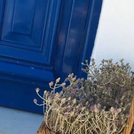 Marditsa's House By The Sea Σέριφος