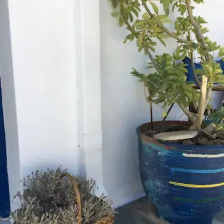 Marditsa's House By The Sea بيت للعطل *