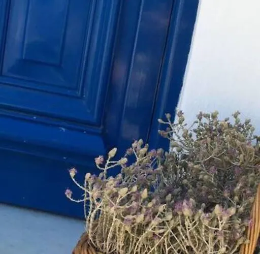 Marditsa's House By The Sea Serifos Town